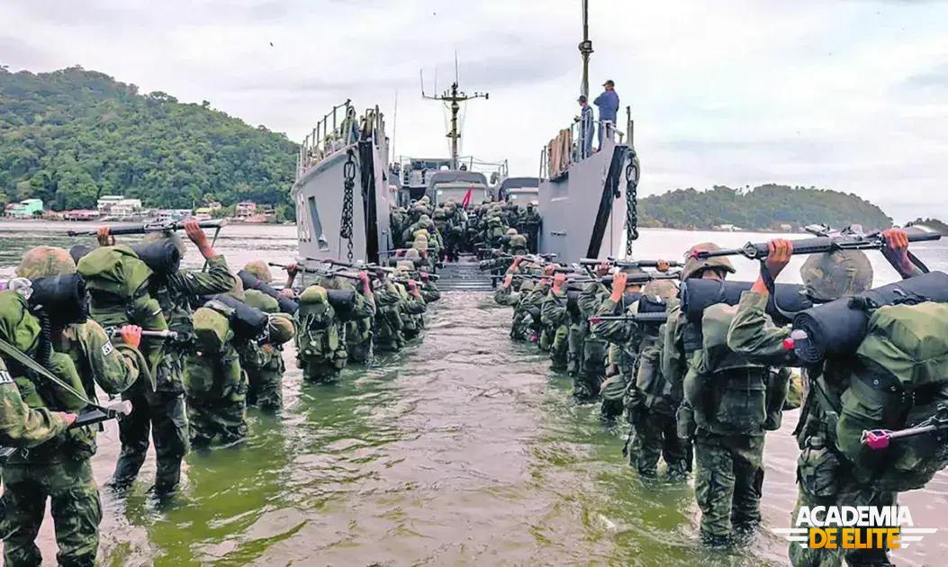 Fuzileiro Naval ou Exército? Comparativo de Carreira, Provas e Perfil de Candidato
